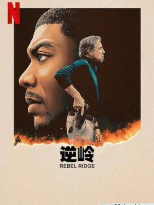 名门秘史